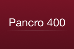 Bergger Pancro 400