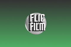 Flic film Cine color 500T